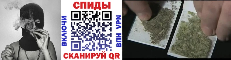 Бутират буратино  Тамбов 