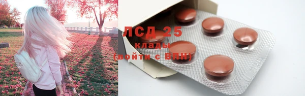 a pvp Бородино