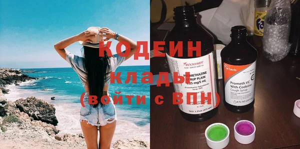 a pvp Бородино