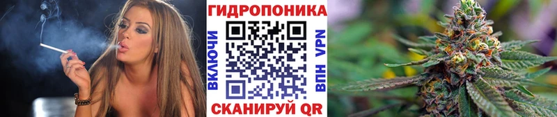 Каннабис планчик  где найти   Тамбов 